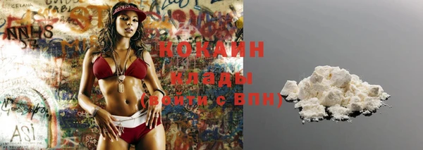 шишки Семёнов